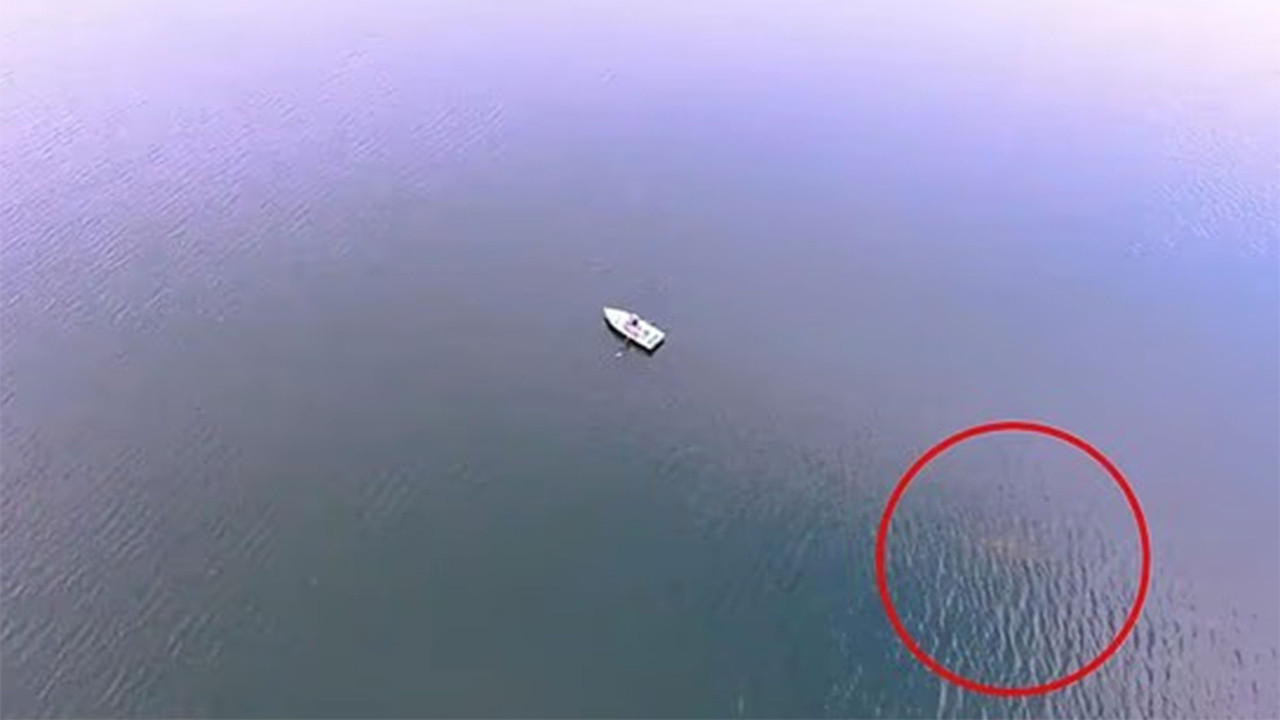 Suların altındaki iki asırlık sır: Amerika'nın Nessie'si kameraya yakalandı